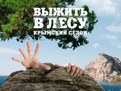 Выжить в лесу