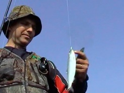 Диалоги о рыбалке. Народный проект