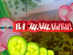 На шашлыки