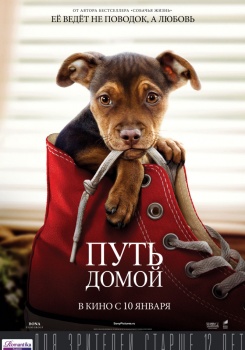 Путь домой Трейлер