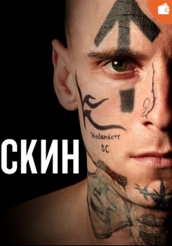 Скин
