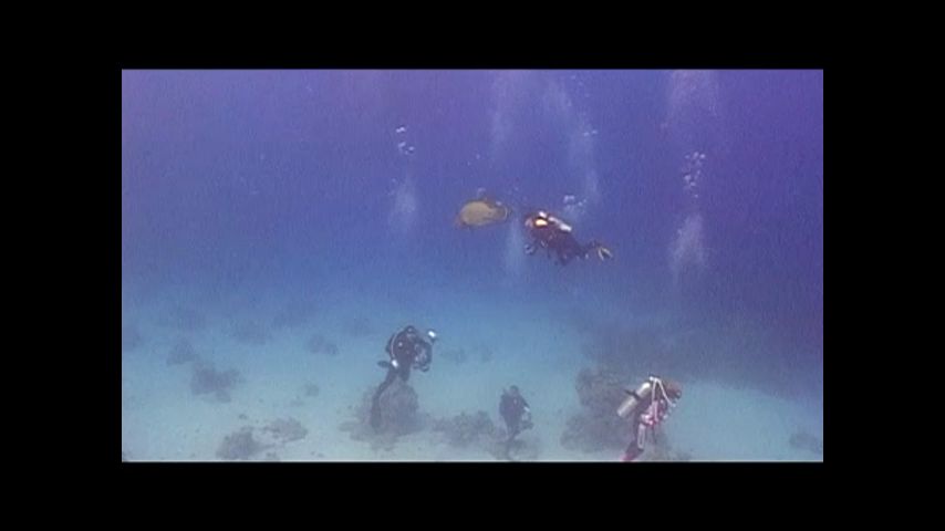 Под водой с… Серия 536