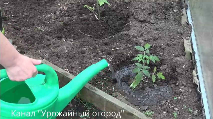 Канал урожайный огород 2018 Канал урожайный огород 2018