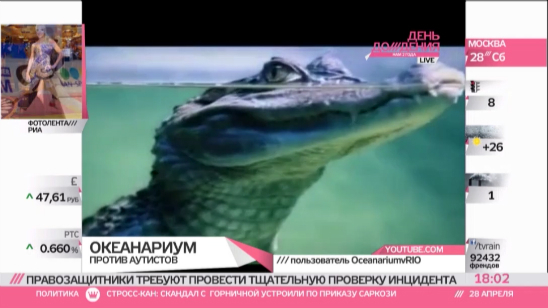 В океанариуме РИО говорят, что не обижали инвалидов