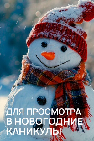 Что посмотреть на новогодние праздники смотреть бесплатно в нашем онлайн-кинотеатре Tvigle.ru