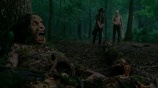 Ходячие мертвецы (The Walking Dead). Сезон 4. Серия 3 смотреть на Tvigle.ru