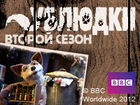 �������. ������ �����