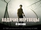Ходячие мертвецы. Четвертый сезон