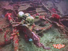 ������ Fujikawa Maru. ������� �������