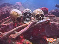Черепа на Fujikawa Maru 