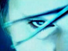 ������ �������� - 31 �����