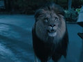 Хранитель зоопарка. Трейлер