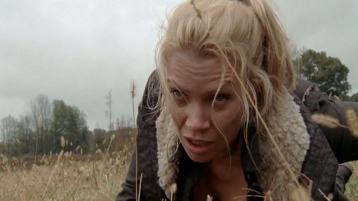 Ходячие мертвецы (The Walking Dead). Сезон 3. Серия 14 смотреть на Tvigle.ru