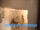 10 ������ 2010