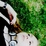Tricki