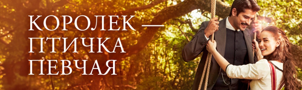 Королек - птичка певчая смотреть бесплатно в нашем онлайн-кинотеатре Tvigle.ru смотреть бесплатно в нашем онлайн-кинотеатре Tvigle.ru