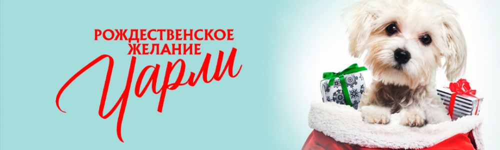 Рождественское желание Чарли смотреть бесплатно в нашем онлайн-кинотеатре Tvigle.ru смотреть бесплатно в нашем онлайн-кинотеатре Tvigle.ru