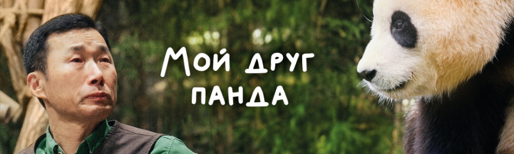 Мой друг панда смотреть бесплатно в нашем онлайн-кинотеатре Tvigle.ru смотреть бесплатно в нашем онлайн-кинотеатре Tvigle.ru