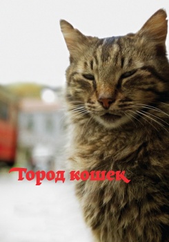 Город кошек смотреть бесплатно в нашем онлайн-кинотеатре Tvigle.ru