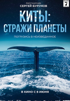 Киты: Стражи планеты Трейлер смотреть бесплатно в нашем онлайн-кинотеатре Tvigle.ru