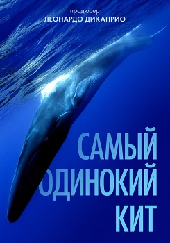 Самый одинокий кит смотреть бесплатно в нашем онлайн-кинотеатре Tvigle.ru