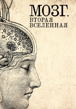 Мозг. Вторая Вселенная смотреть бесплатно в нашем онлайн-кинотеатре Tvigle.ru