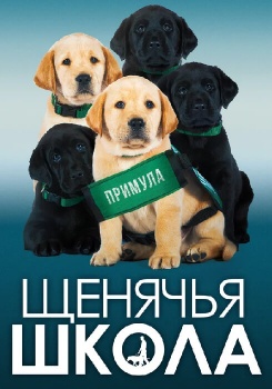 Щенячья школа смотреть бесплатно в нашем онлайн-кинотеатре Tvigle.ru