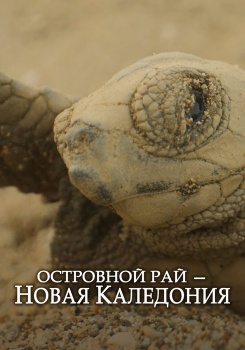 Островной рай – Новая Каледония смотреть бесплатно в нашем онлайн-кинотеатре Tvigle.ru
