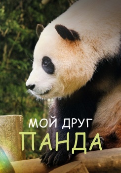 Мой друг панда смотреть бесплатно в нашем онлайн-кинотеатре Tvigle.ru