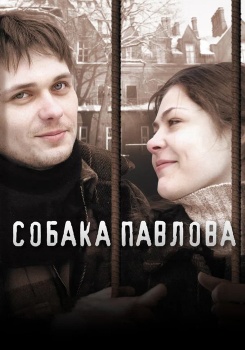 Собака Павлова смотреть бесплатно в нашем онлайн-кинотеатре Tvigle.ru