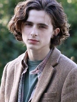 Тимоти Шаламе смотреть бесплатно в нашем онлайн-кинотеатре Tvigle.ru