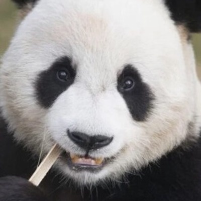 Лэ Бао смотреть бесплатно в нашем онлайн-кинотеатре Tvigle.ru