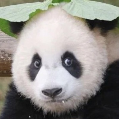 Жуй Бао смотреть бесплатно в нашем онлайн-кинотеатре Tvigle.ru