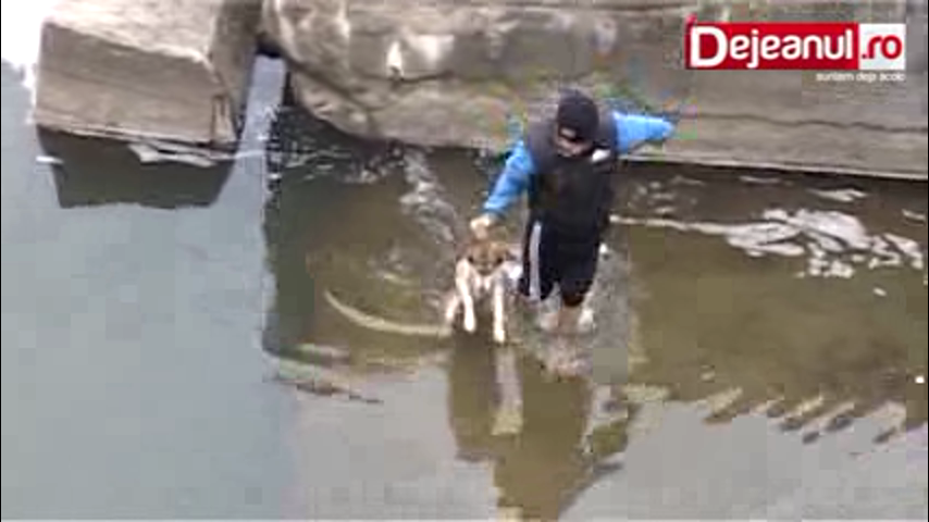 Мужчина спас собаку. Мальчик спасает собаку из воды. Собака спасает ребенка из воды. Собака спасает ребенка из воды сульт.