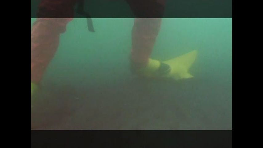 Под водой с… Серия 507