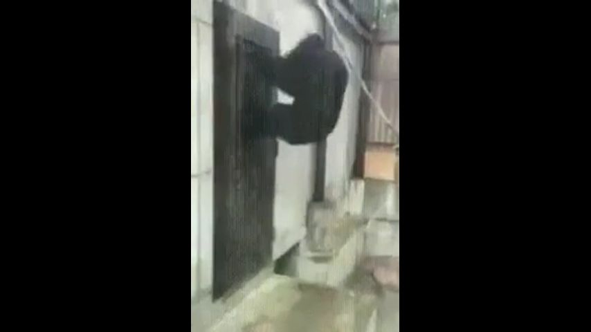 �������� ����� � ������ ������