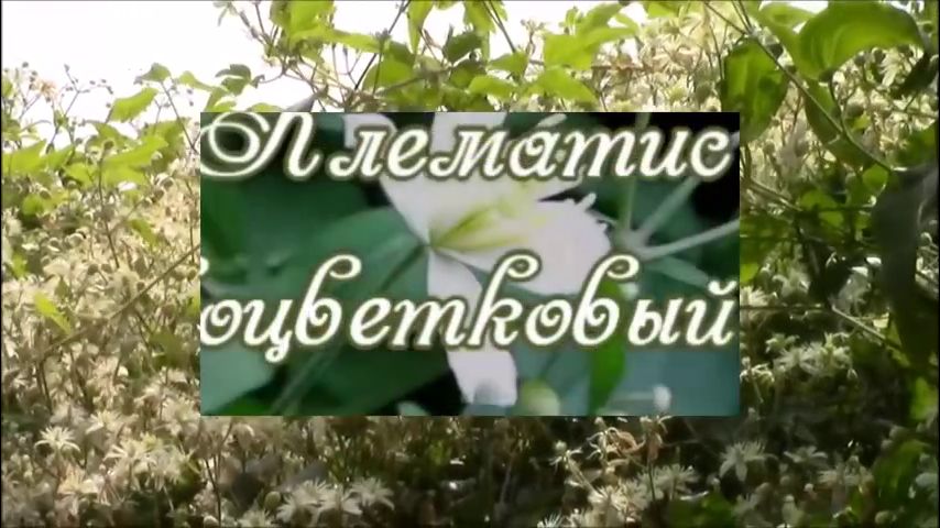 Новостной листок лайфинтернет за 22 октября. Новостной листок самое популярное на liveinternet. Новостной листок самое популярное на liveinternet. Михаил делягин с женой. Новостной листок самое популярное на liveinternet.