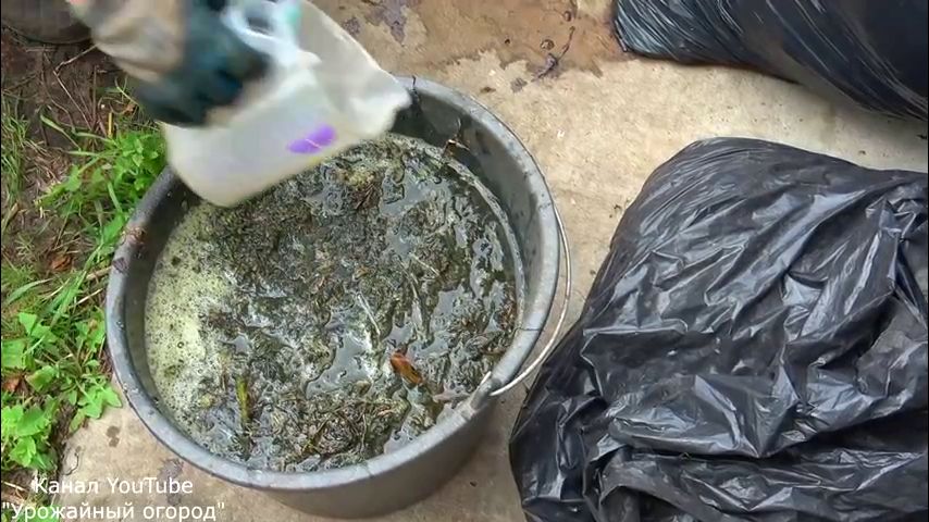 Смотреть видео Смотреть видео в полной версии