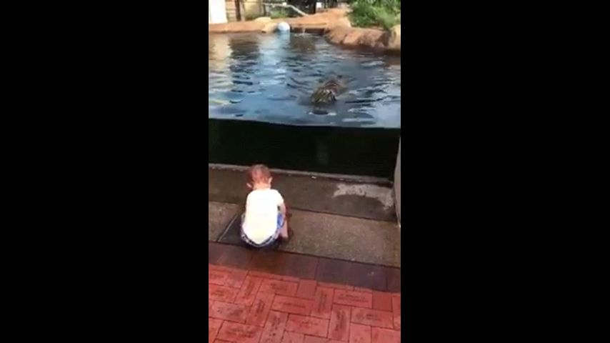 Смотреть видео Смотреть видео в полной версии