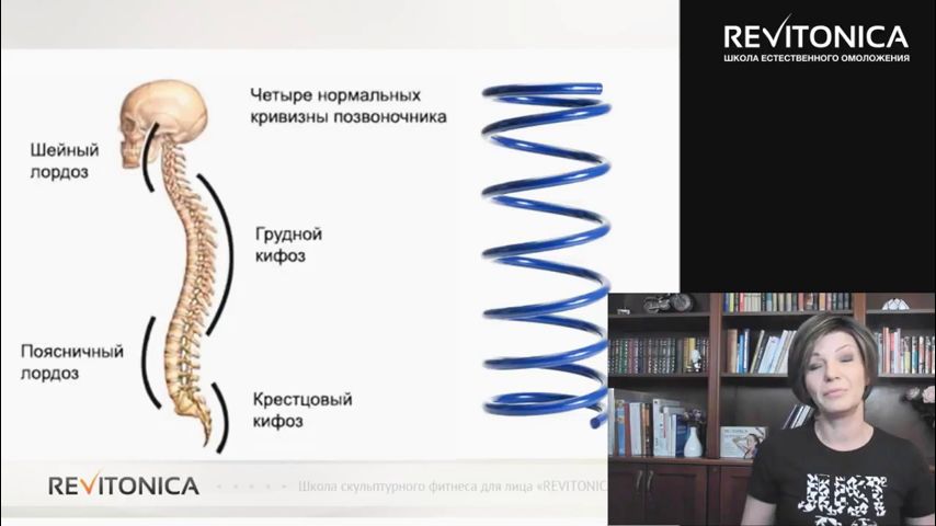 4 нормального. Нормальная кривизна позвоночника. Четыре нормальных кривизны позвоночника. 4 Нормальных кривизны позвоночника. Четыре нормальных кривизны позвоночника человека.