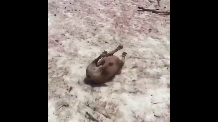 Смотреть видео Смотреть видео в полной версии