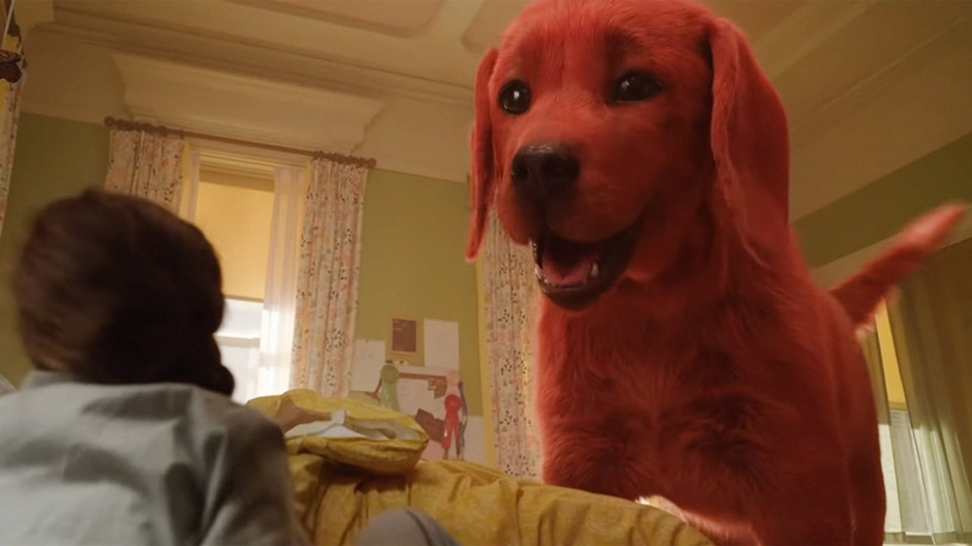 Фильм кот и пес