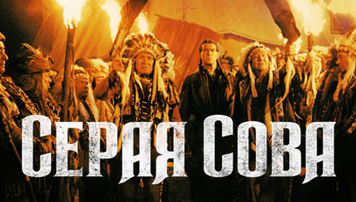 Серая сова