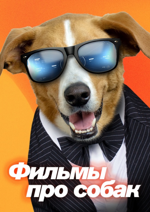 Фильмы про собак смотреть бесплатно в нашем онлайн-кинотеатре Tvigle.ru