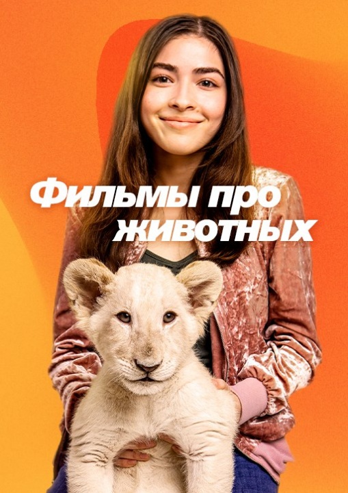 Фильмы про животных смотреть бесплатно в нашем онлайн-кинотеатре Tvigle.ru