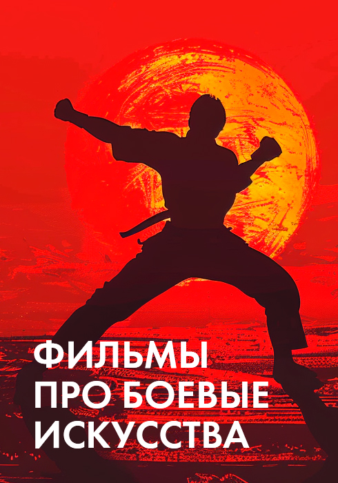Фильмы про боевые искусства смотреть бесплатно в нашем онлайн-кинотеатре Tvigle.ru